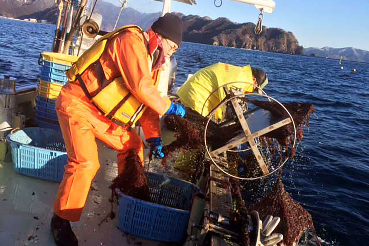 慣れない洋上作業にも、カゴ漁の成果に海の豊かさを体感した