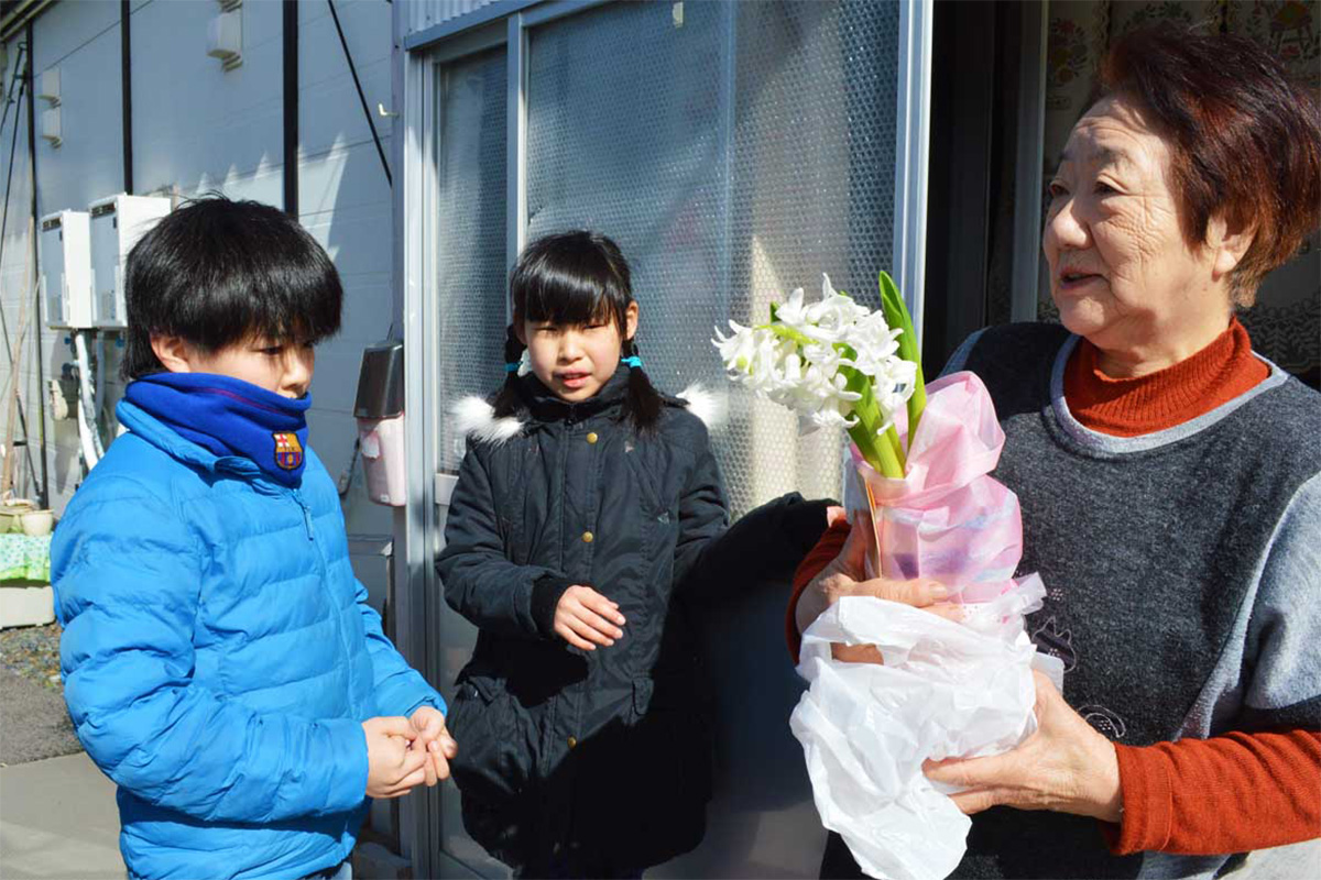 学区内のお年寄りにヒヤシンスの花を贈る白山小児童