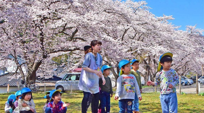 釜石の桜 一気に満開、待望の春を謳歌〜見事な花のアーチ、上栗林の桜ライトアップ