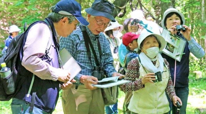 釜石野鳥の会の会員に教わりながら野鳥観察を楽しむ参加者