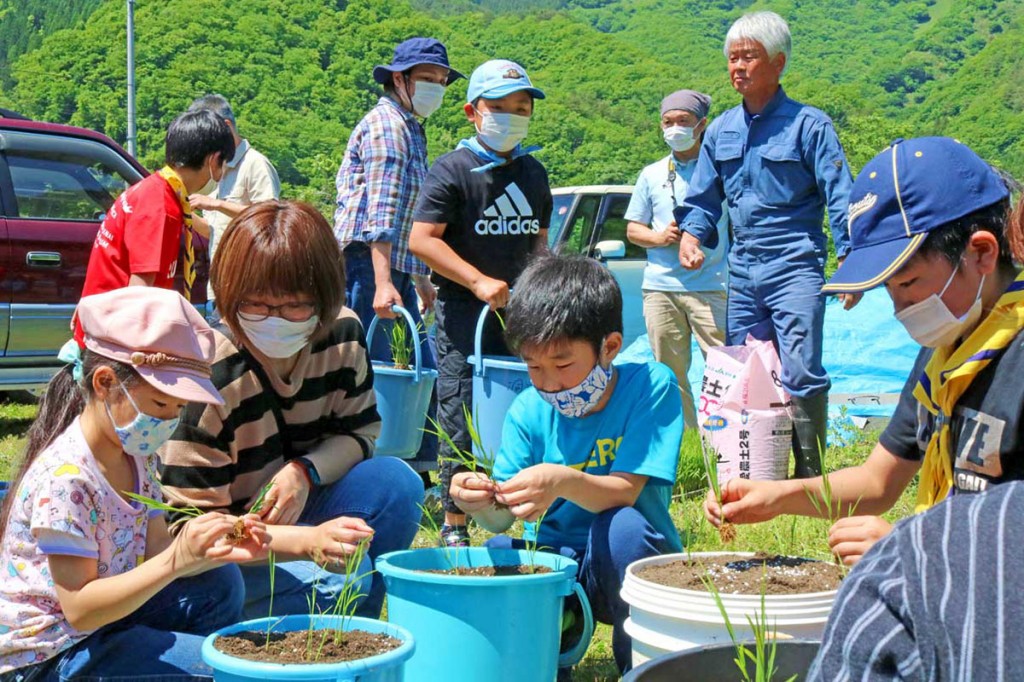 hamachidori-taue-1024x682.jpg