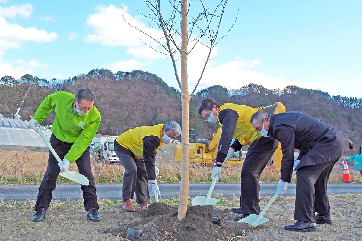 整備中の片岸公園に桜を植える釜石・東海ＬＣ会員ら