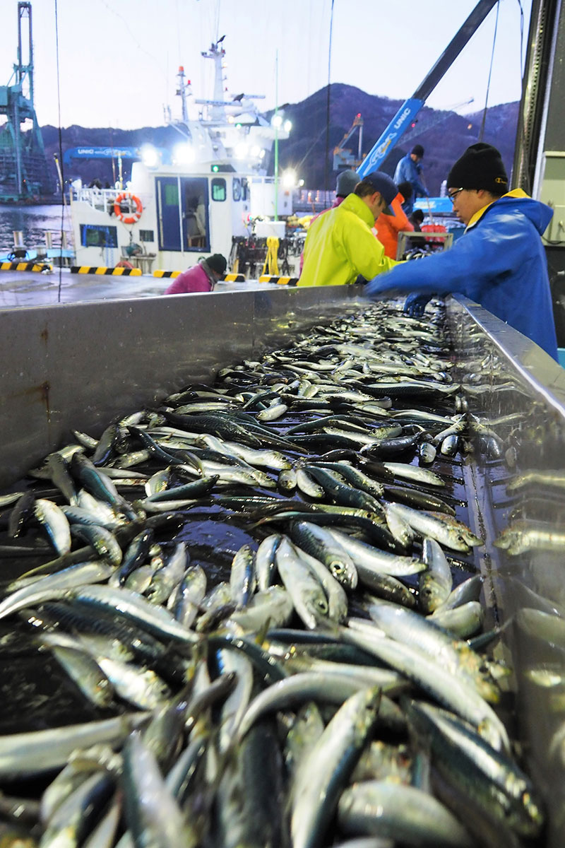 「今年こそ」。漁業関係者は漁の好転に期待を込める