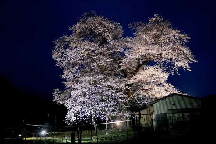 白山信仰と加賀 林信一 img4499-700x466.jpg