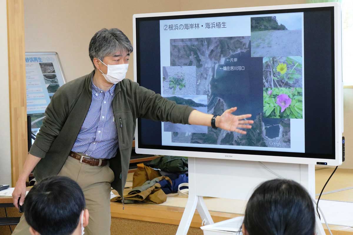 ハマナスや根浜の海浜植生について震災前と比較しながら説明する島田准教授