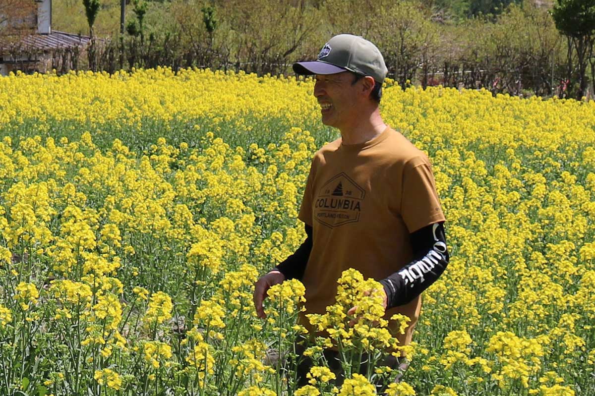 震災後、沿岸被災地で菜の花栽培に取り組んできたユナイテッドグリーンの山田周生代表