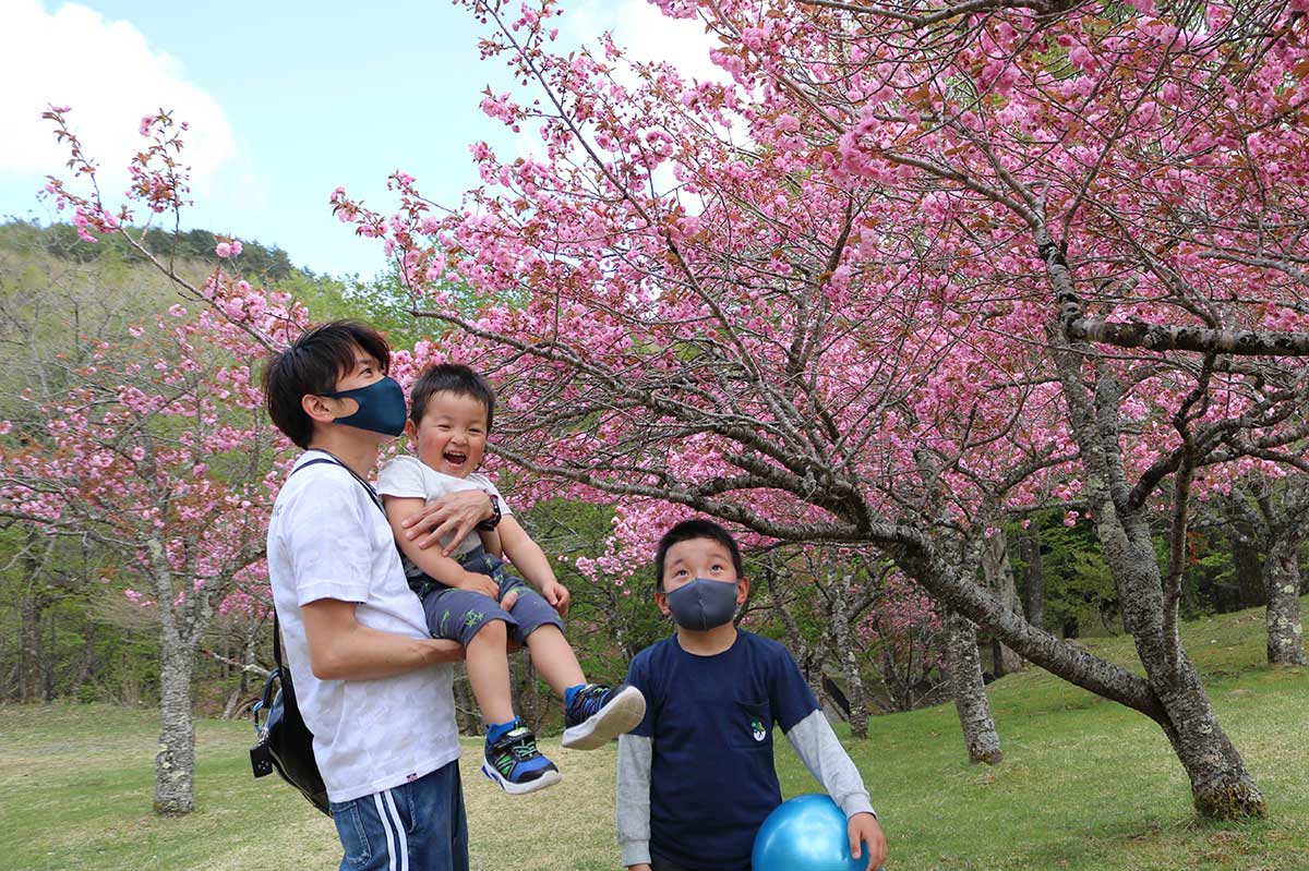 美しい花を咲かせた桜に子どもたちも笑顔満開！