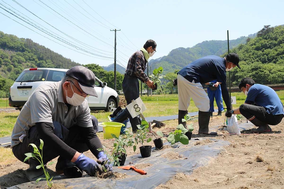 大槌町で始まった初心者向けの「農業入門塾」