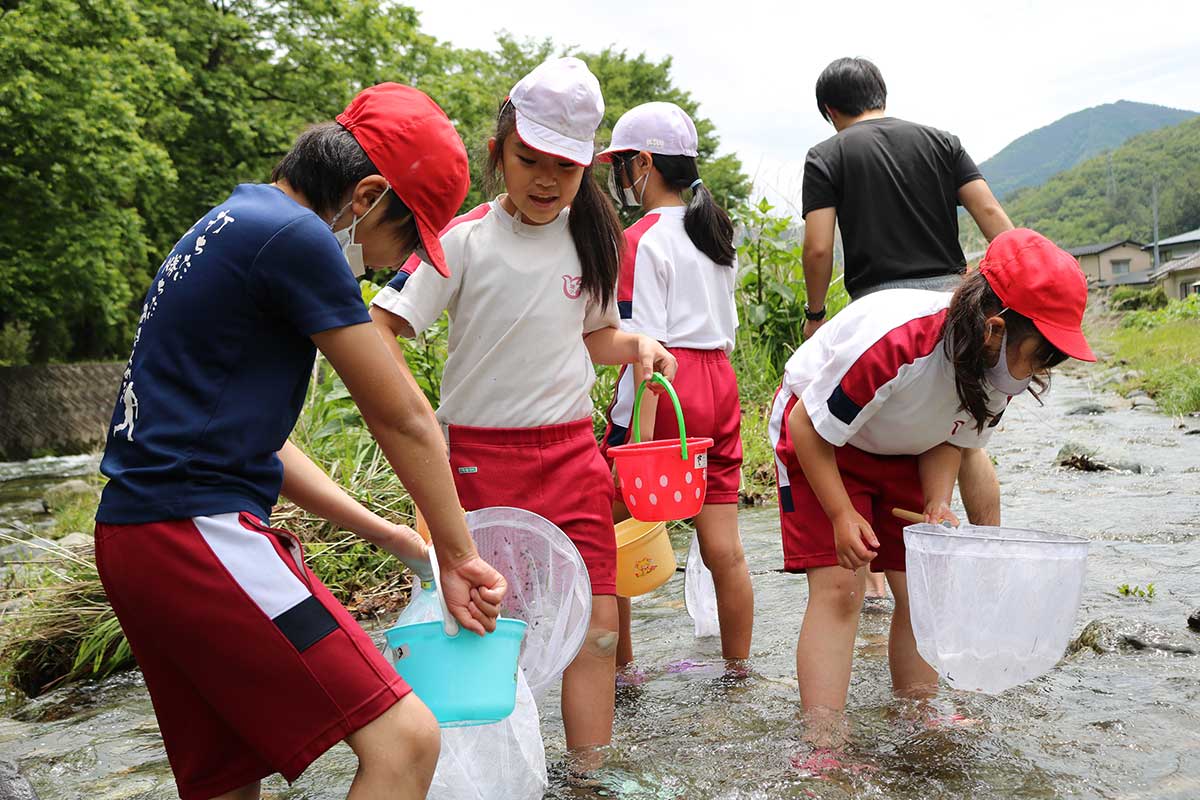 釜石小４年生が取り組んだ水生生物調査＝１３日