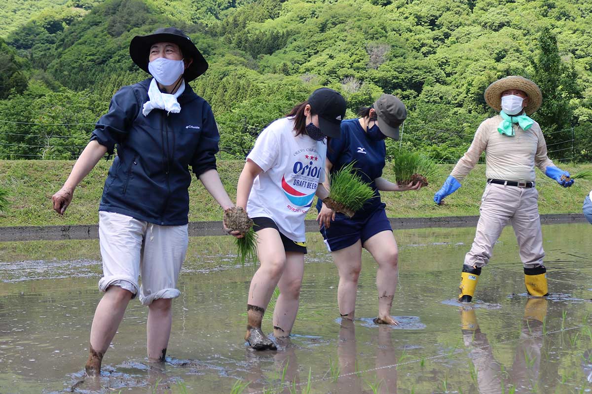 素足の参加者は、ぬる水の泥の感触も楽しく！