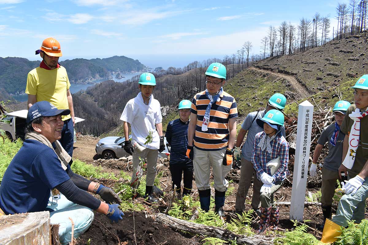 火災で森林が焼失した尾崎半島で行われたボランティアによる植樹活動（２０１８年６月、復興釜石新聞より）