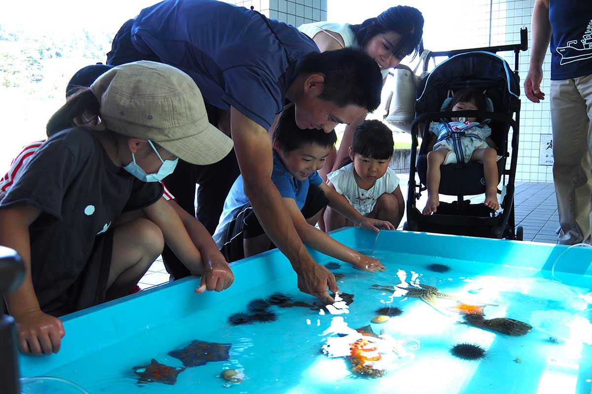 さまざまな海の生き物と触れ合えるタッチプールは子どもたちに人気