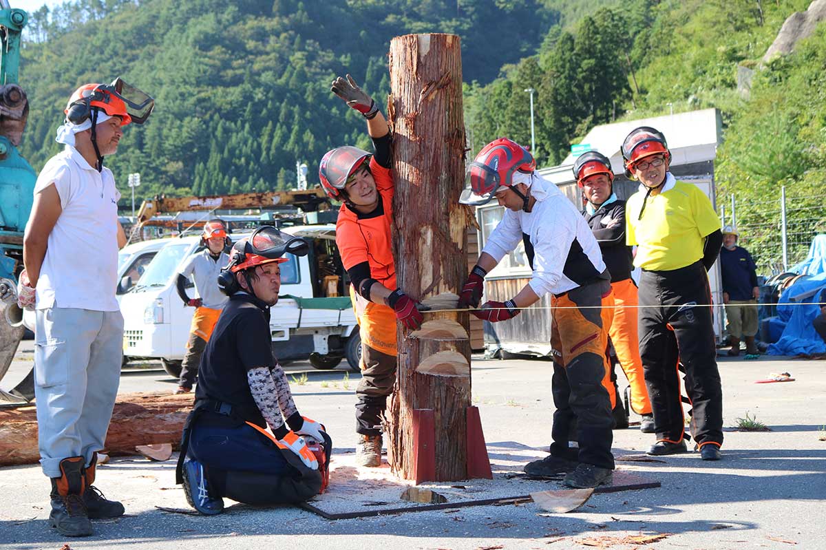 林業研修で伐木の技術を学ぶ参加者＝片岸町、釜石地方森林組合事務所