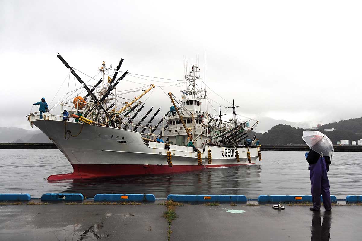 「第一安房丸」の入港を釜石の漁業関係者が見守る