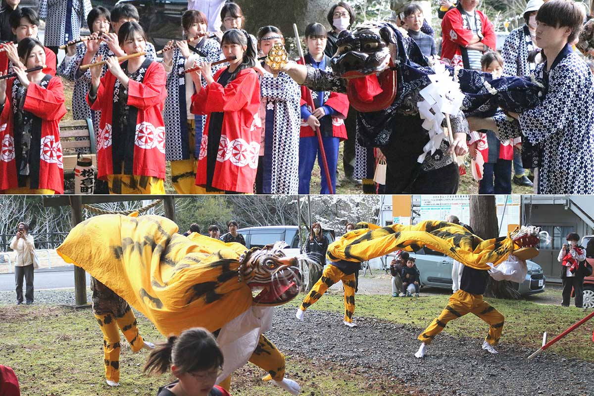 松倉神社例祭。地域に伝わる神楽と虎舞が神社に奉納された＝13日夕方