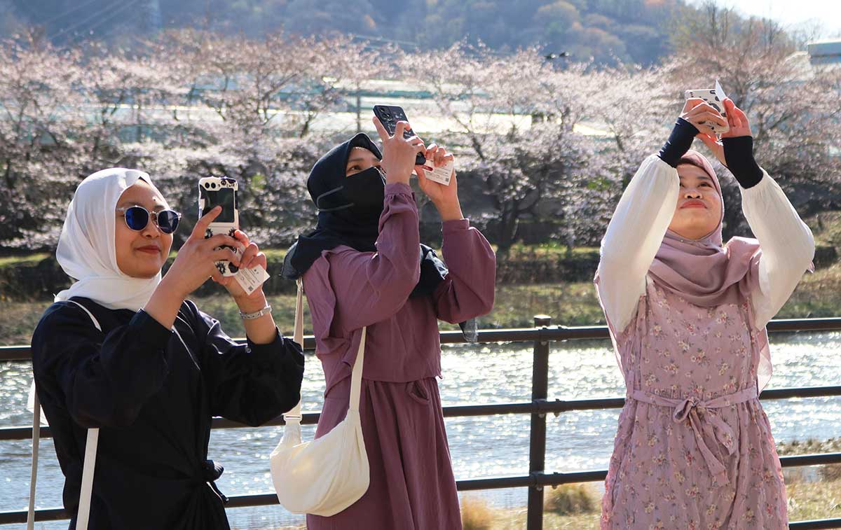 日本の桜に感動し、撮影の手が止まらないインドネシア出身女性