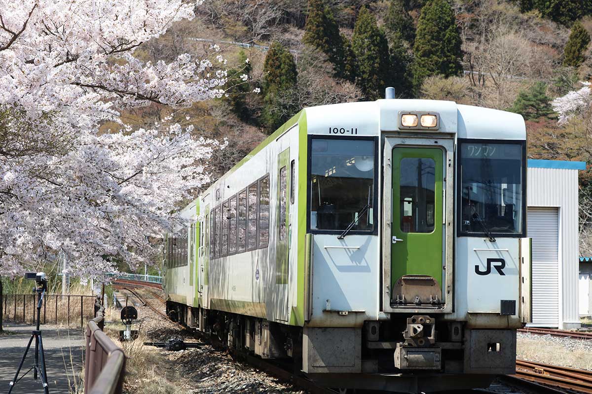 満開の桜がお出迎え！釜石駅に到着するJR車両