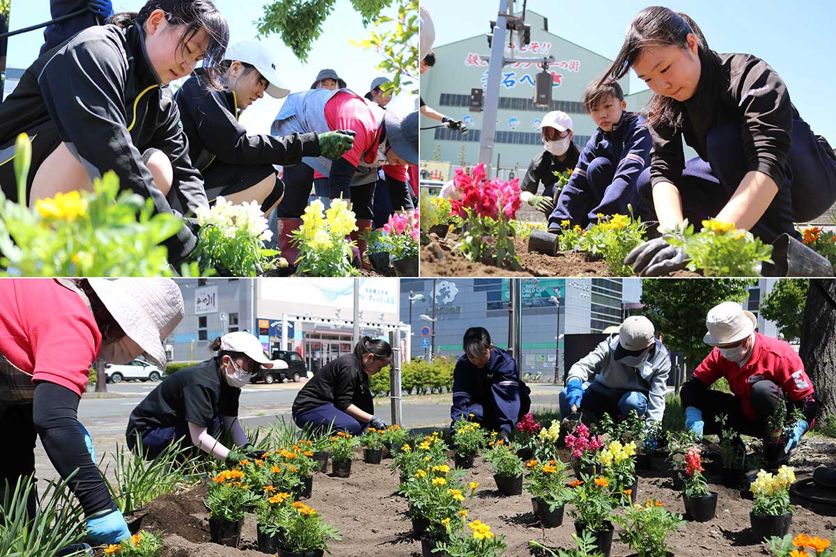 植栽作業には釜石商工高、釜石高の生徒らも尽力