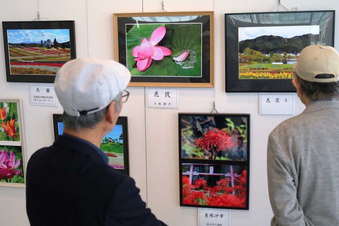千葉手賀沼の自然を描く,日下賢二「ひとやすみ」50号油彩,ゆりかもめ,県展出品作 千葉手賀沼の自然を描く,日下賢二「ひとやすみ」50号油彩,ゆりかもめ,