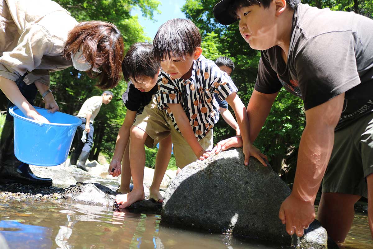 橋野町の沢桧川で餅鉄を探す子どもたち＝25日