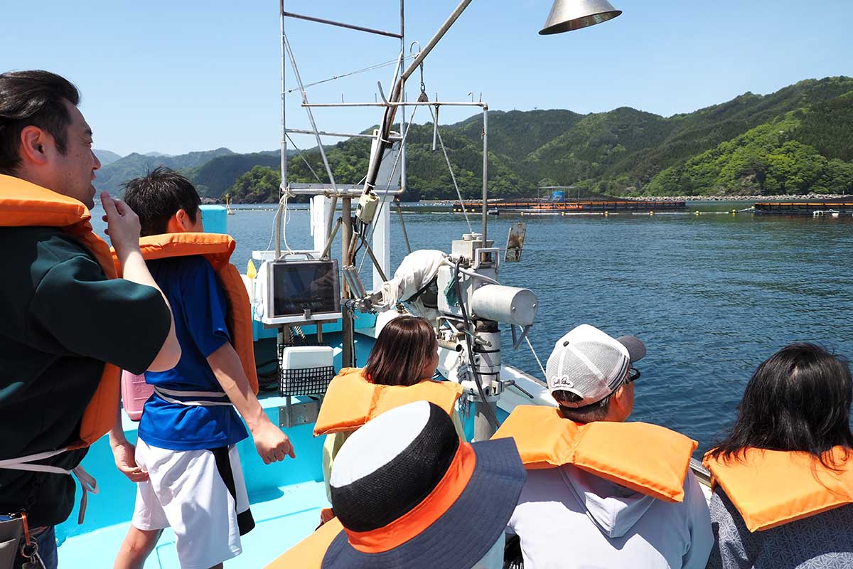 釜石湾内で行われているサーモン養殖のいけすに興味津々
