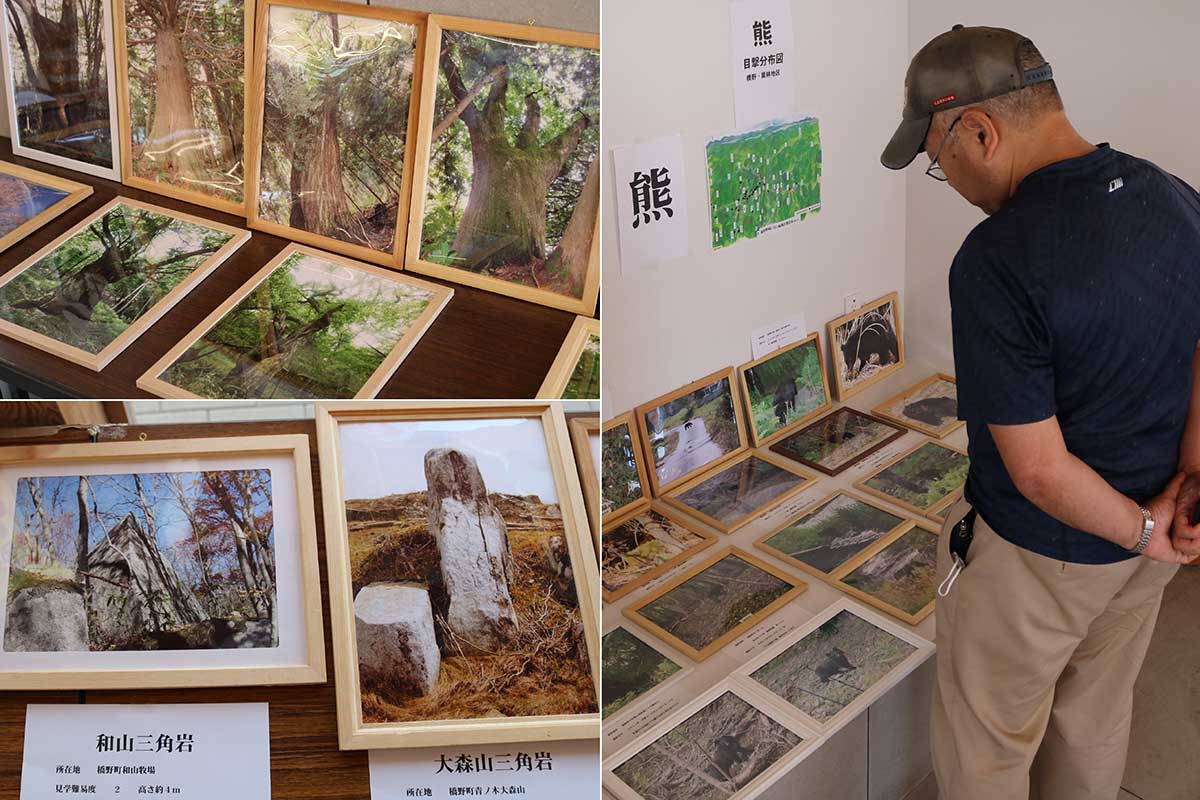 三浦さんが山中で発見した巨木や岩（写真左）。クマの写真も多数（同右）