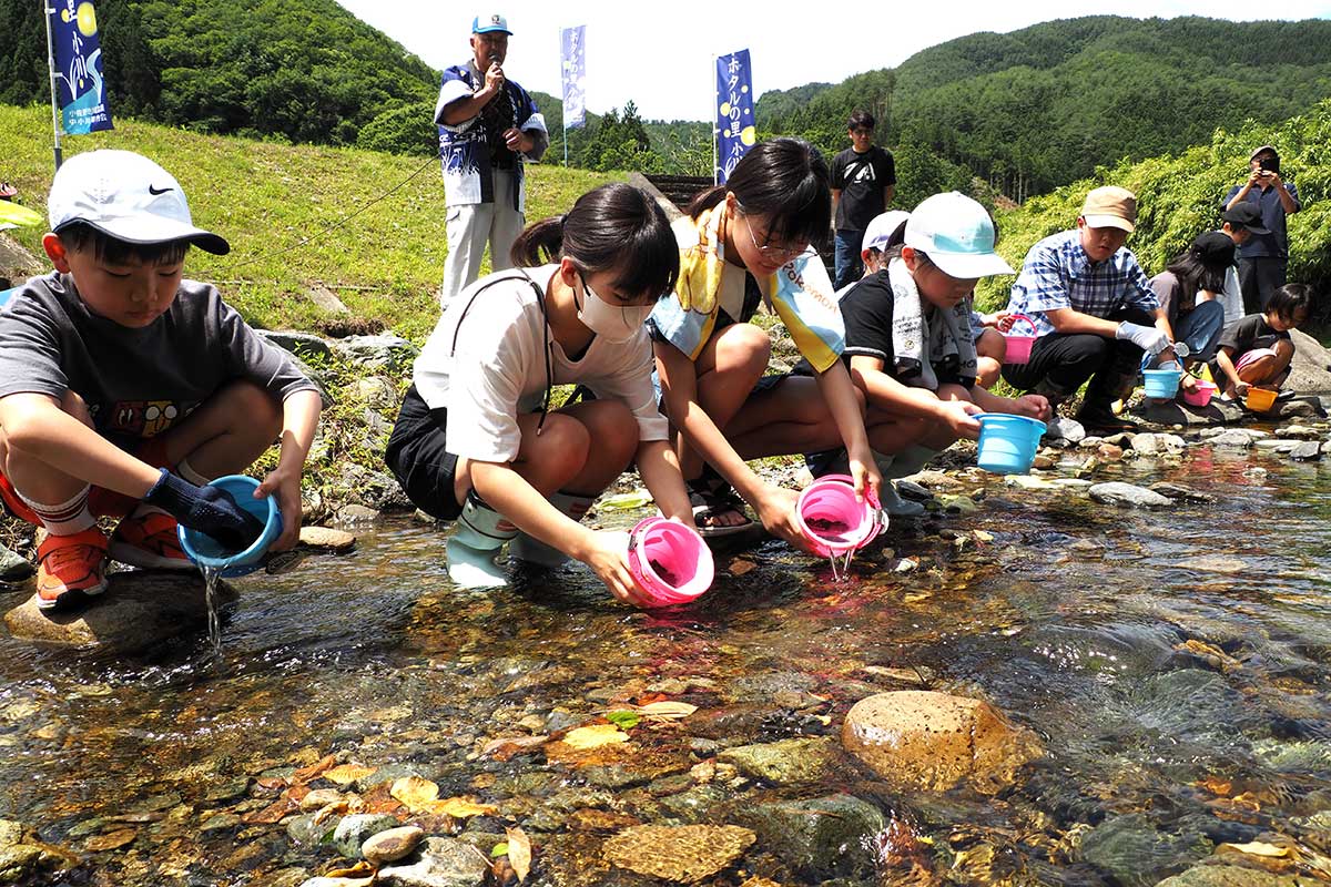 釜石市の小川川にカワニナを放流する子どもたち