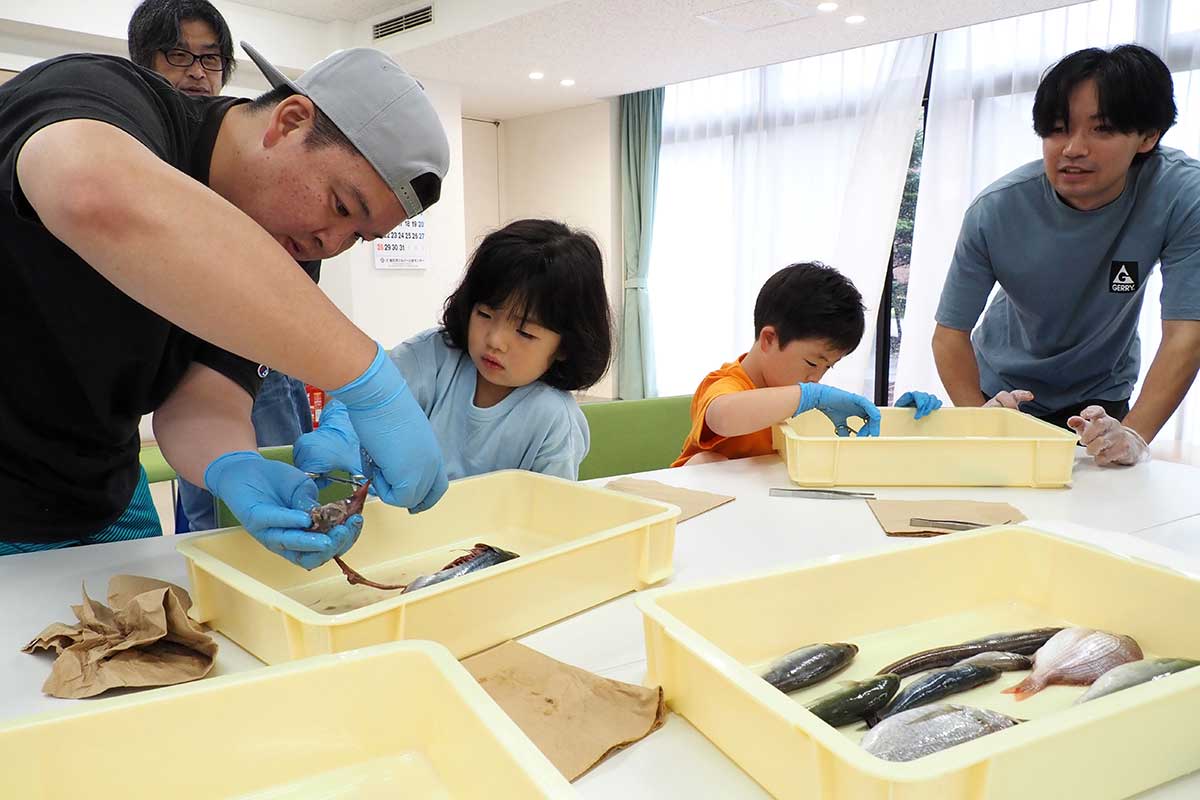 おさかな学習会でマサバの解剖に挑む親子ら