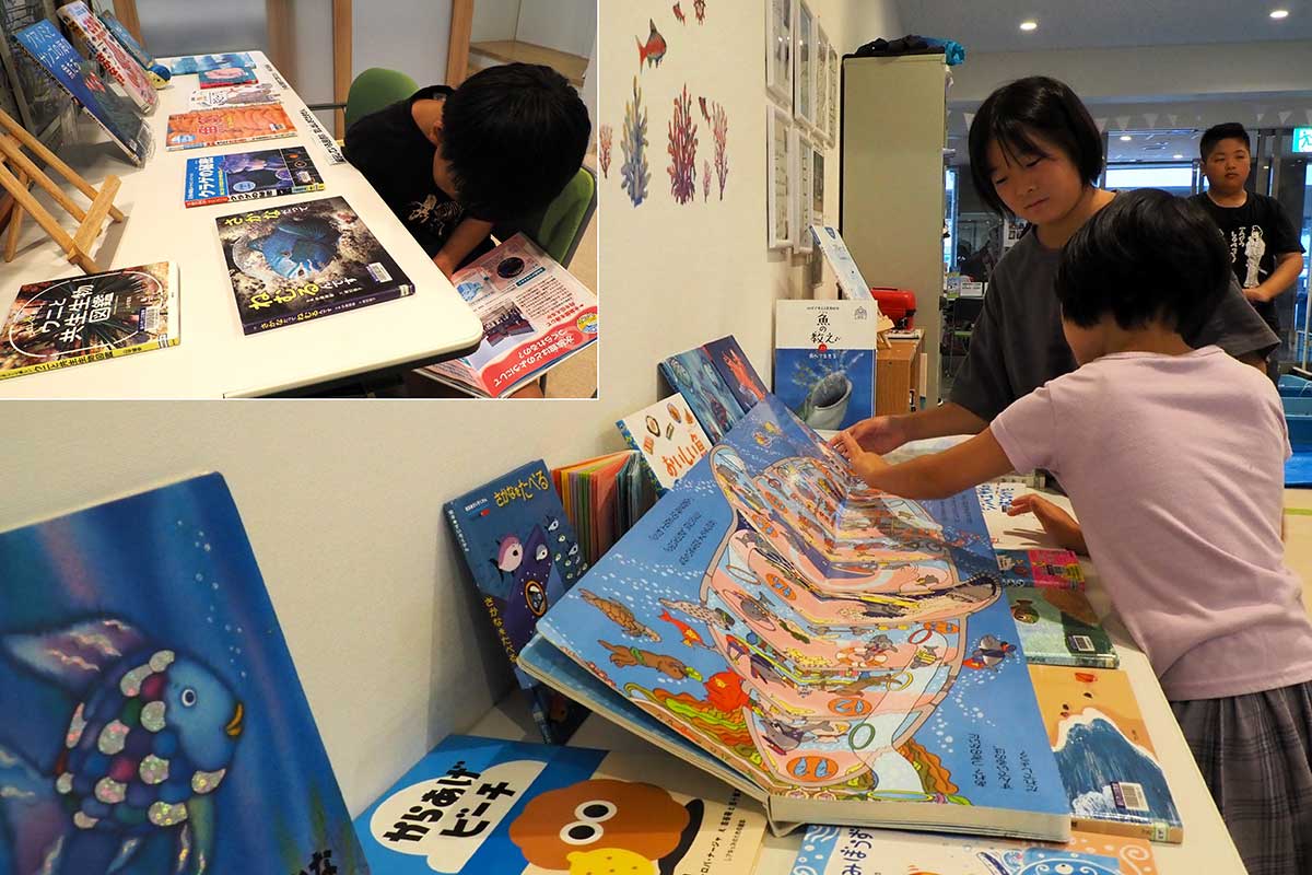 中妻公民館で開催中の「海のいきもの図書展」