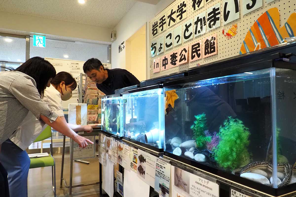 多様な海の生き物を水槽で展示した移動水族館