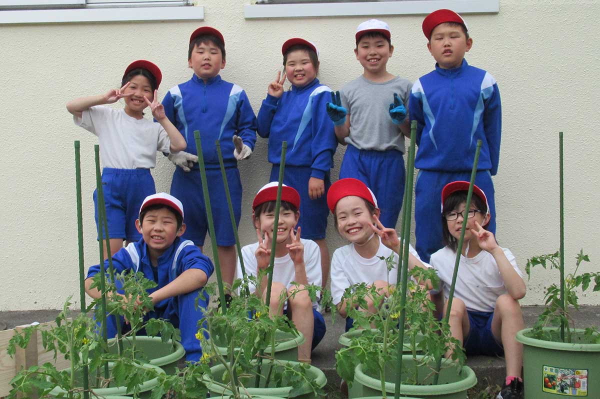 すずこまの苗を植えた栗林小の3、4年生（写真提供：栗林小）