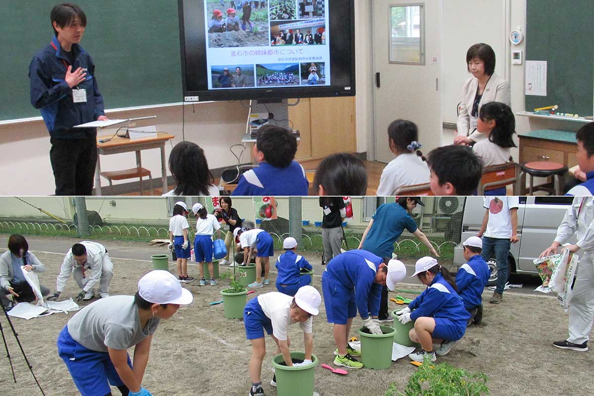 市職員から姉妹都市ディーニュ市のことを聞き、菜園ポットに苗を植えた（写真提供：栗林小）