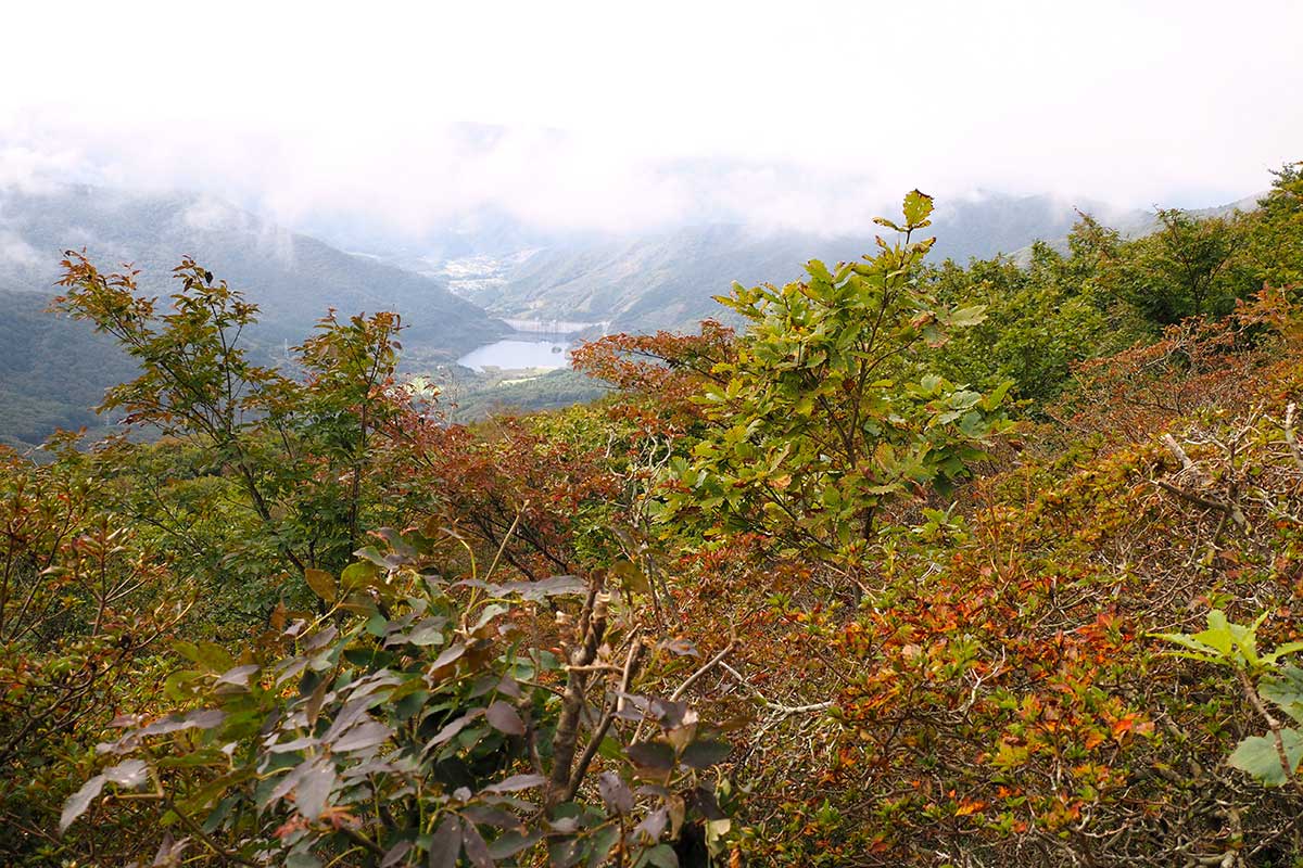 登山道から大船渡市の街並みが見えた瞬間があった