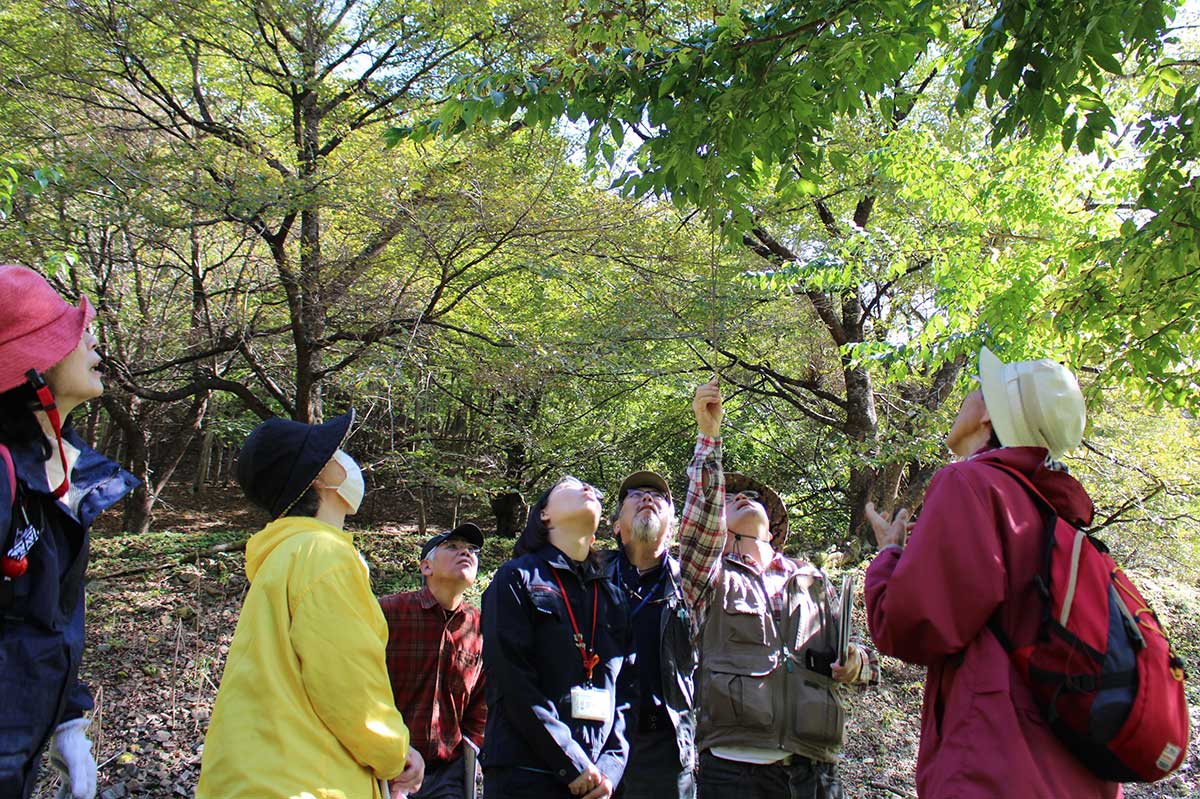 ふ化しなかった卵の痕跡も確認。成虫になるまでにはさまざまな困難が…