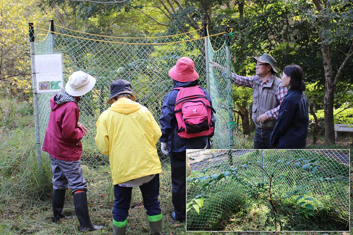 植樹したエゾエノキが育つ場所にも足を運んだ。来年以降、近いうちに産卵が見られそうとのこと