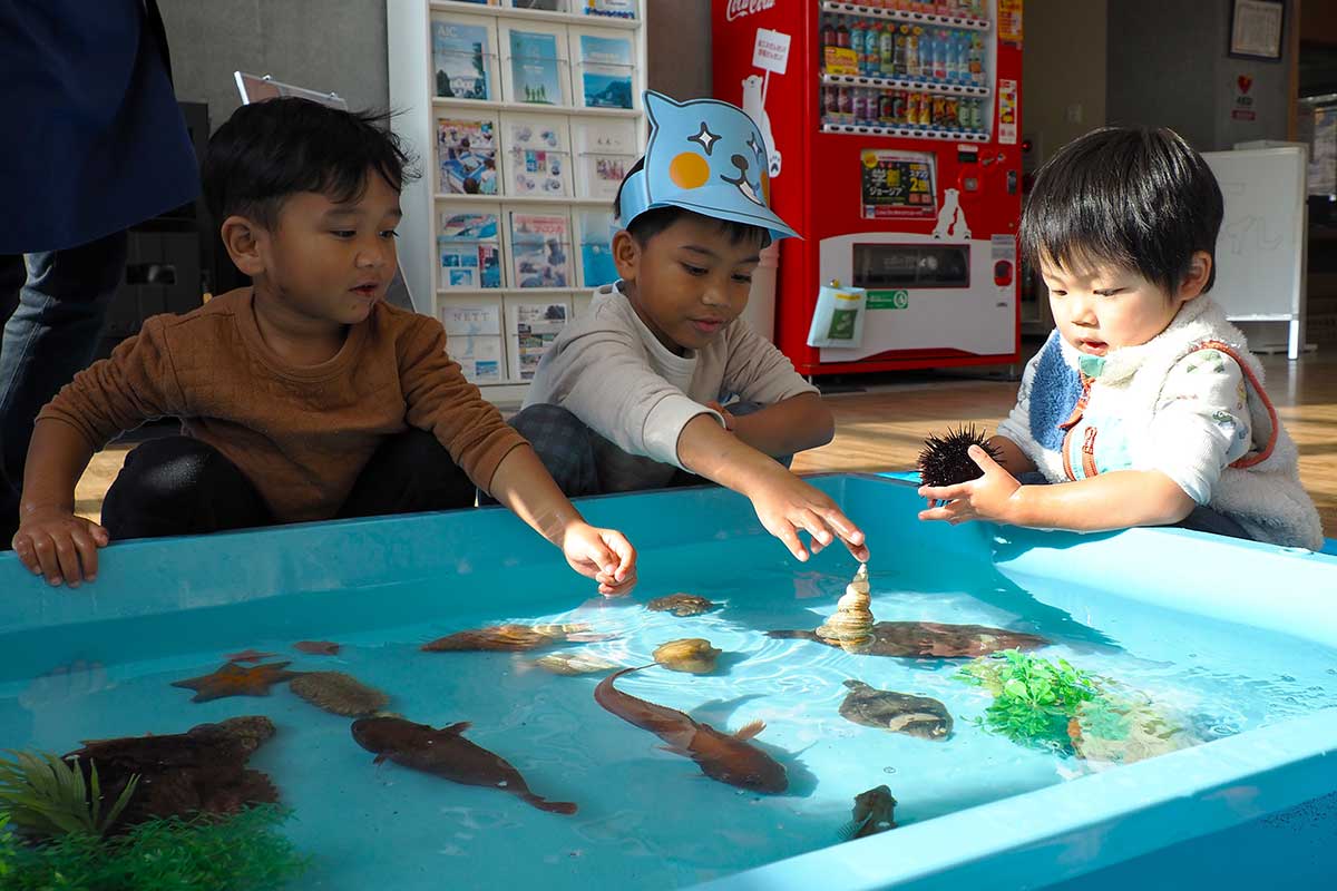 海洋生物に触れながら学びを深める子どもたち