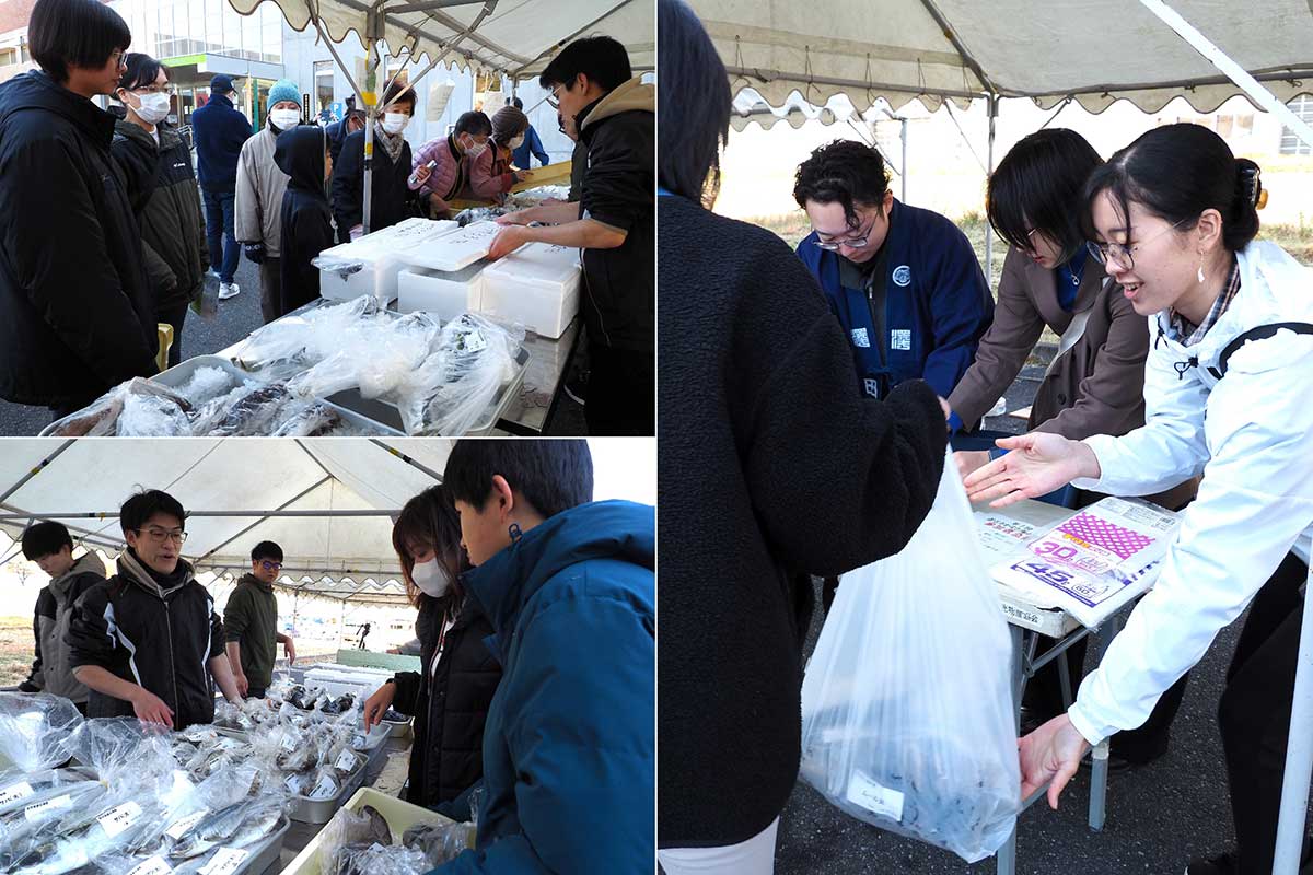 釜石の魚市場に揚がった魚介類が並び人気を集めた