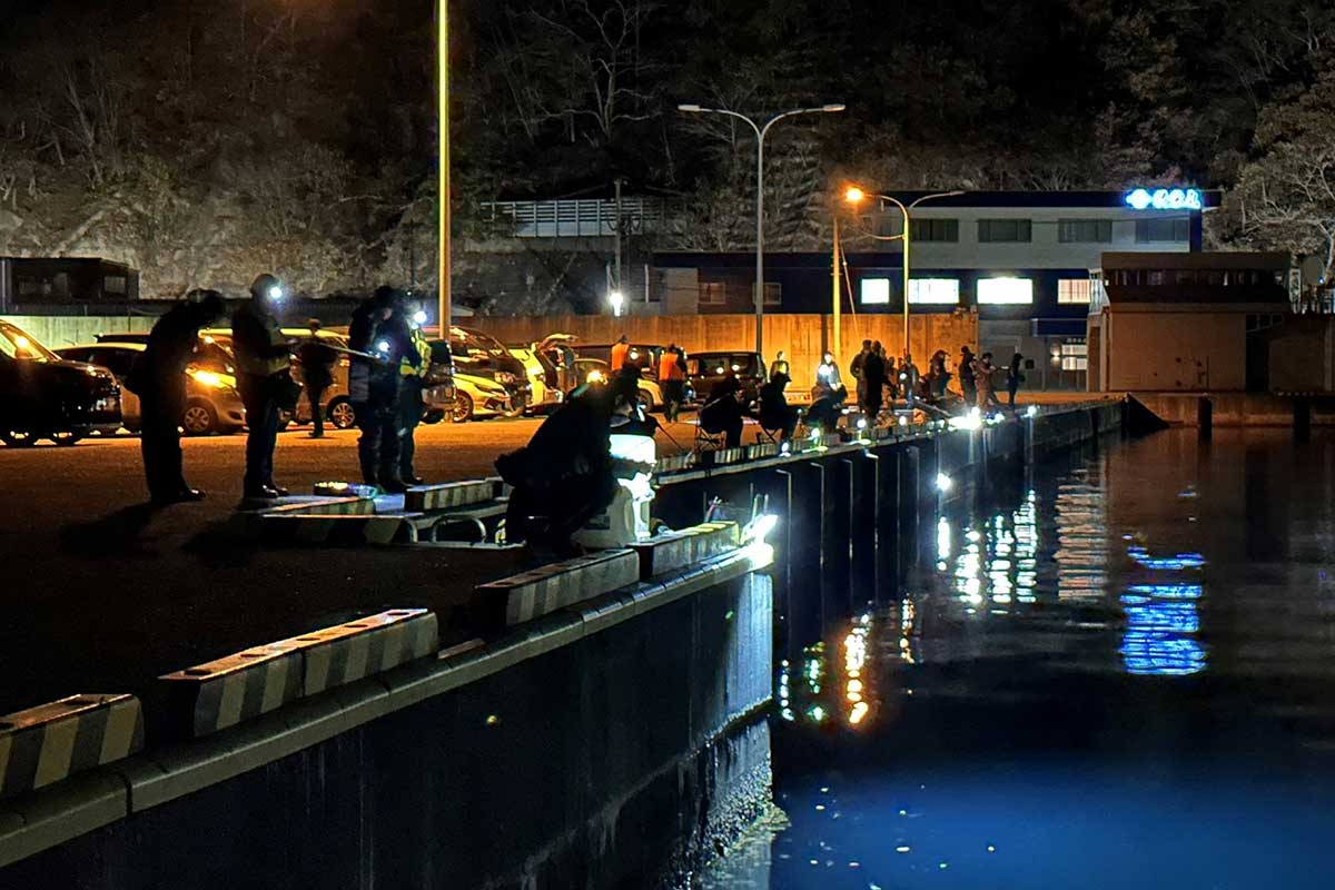 多くの人が岸壁から釣り糸を垂らす。今夜の獲物はヤリイカ