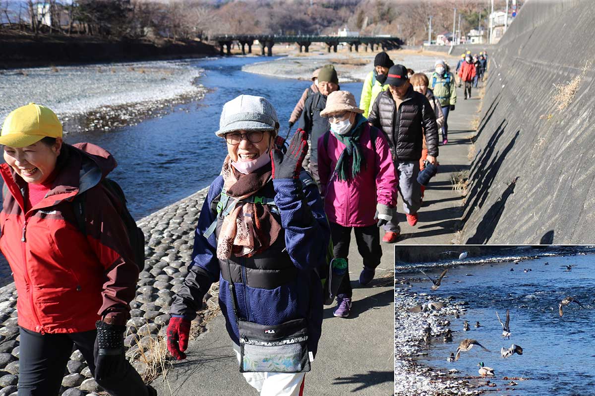 甲子川河川敷の遊歩道では野鳥の群れがお出迎え