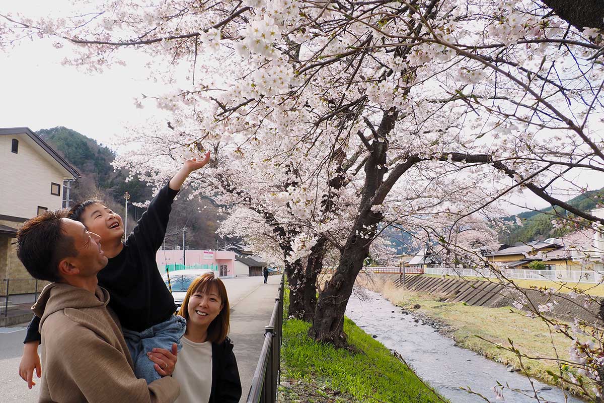 子どもの成長と桜の花姿を楽しみにする岡谷さん一家