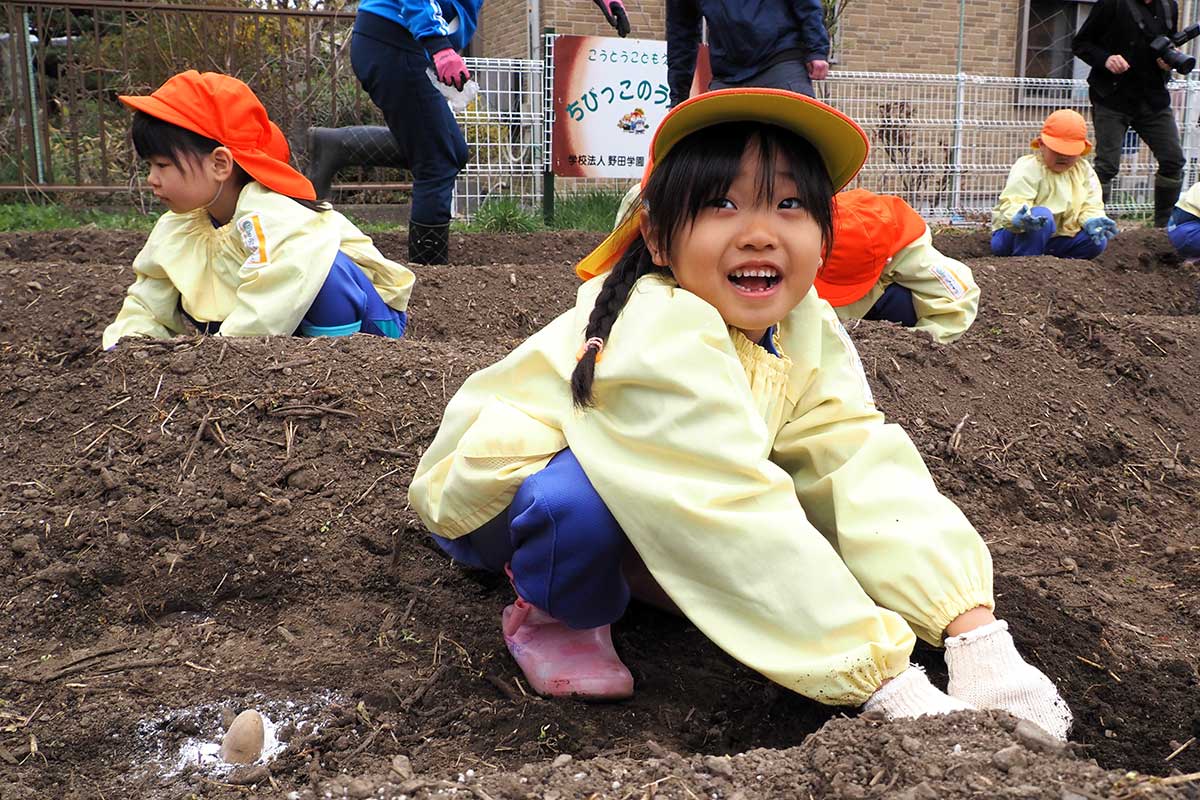 種イモに土をかぶせる作業のポイントは「そっと」