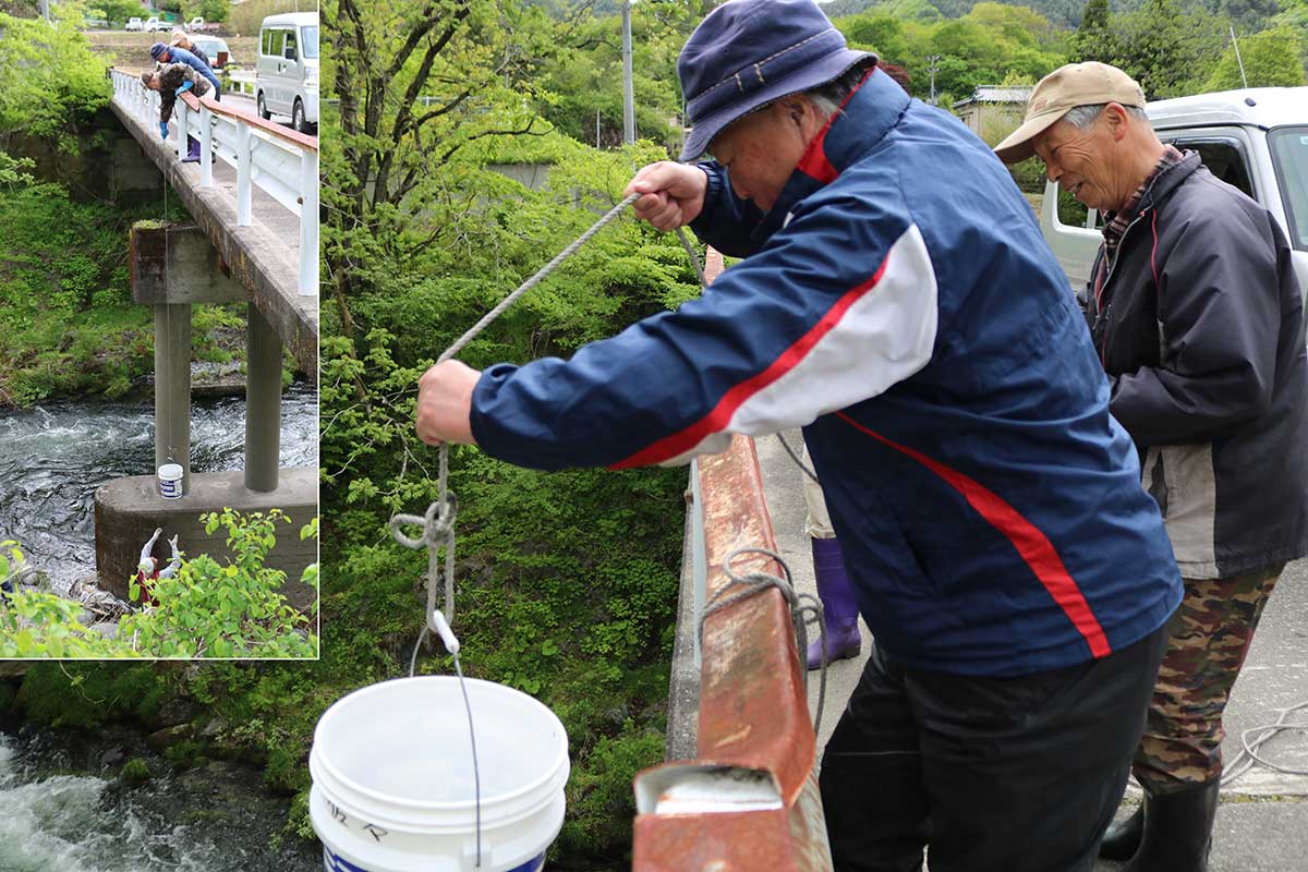 稚魚が入ったバケツをロープにくくり付け、慎重に下ろす＝雲南橋