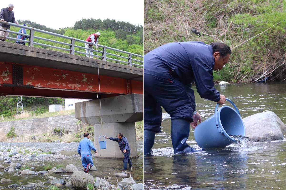 「解禁日に会おう！」順調に育つよう願いを込めながら…＝住川橋