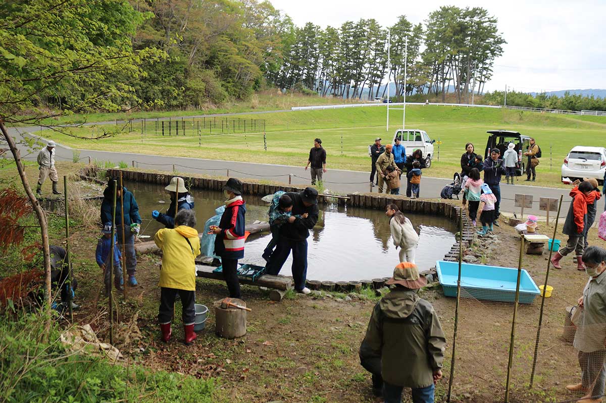 昨年4月に完成した根浜ビオトープ。豊かな生態系の復活に期待
