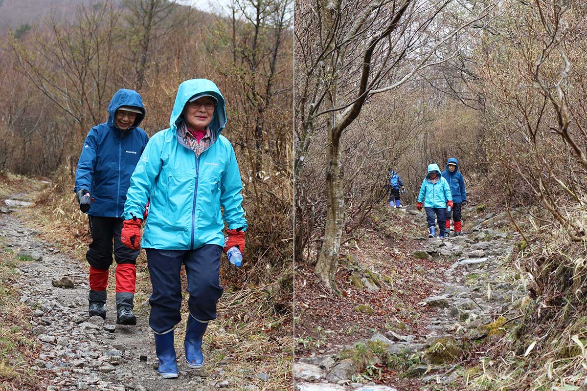 沿道の木々の芽吹きは見られるものの、まだ冬枯れの印象の登山道