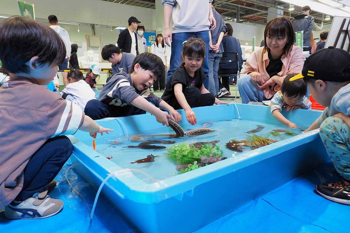 海の生き物に触れられるタッチプールは子どもに大人気