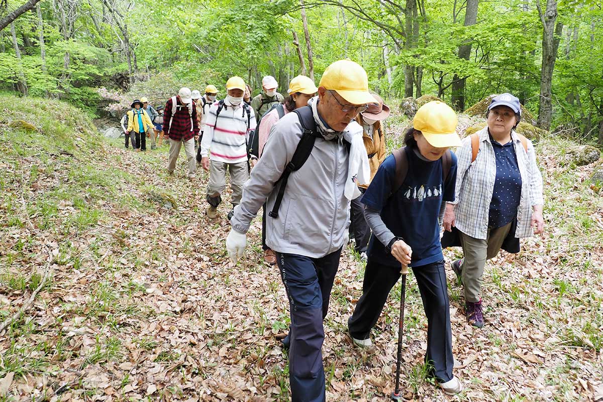 hashinowalk01