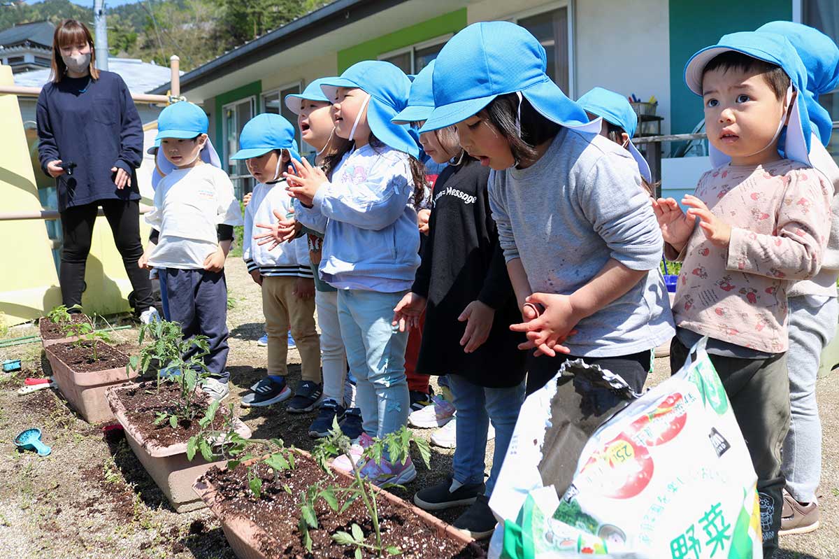自分たちで植えた苗に「大きくな～れ」と声掛け。これから毎日のお世話も頑張る