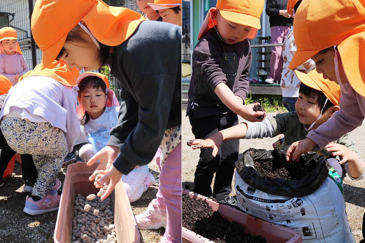 4歳児クラスはプランターの準備から。鉢底石を入れて（左）から培養土を投入（右）