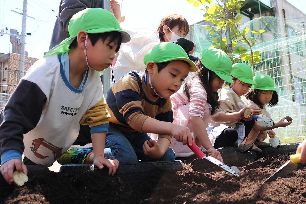 5歳児クラスは園庭の一角にある菜園にジャガイモを植える。最初にスコップで土を掘り起こした